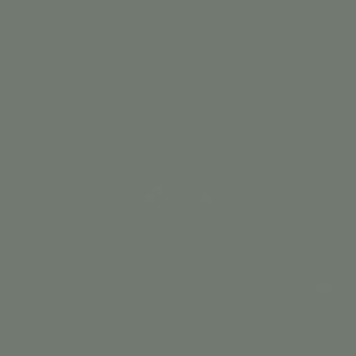 картинка Зеленый эвкалипт AU604 ST9 EGGER ЛДСП 18 мм от от Аскари Плюс 